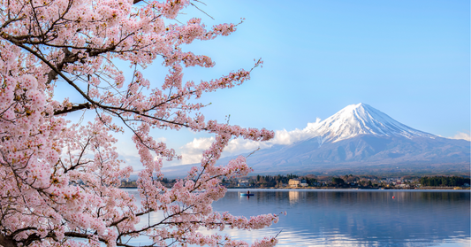 Tokyo Cherry Blossom Forecast 2025: Best Viewing Spots and Enhancing Your Hanami Experience